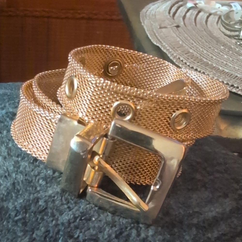 Vintage Gold Tone Mesh Belt